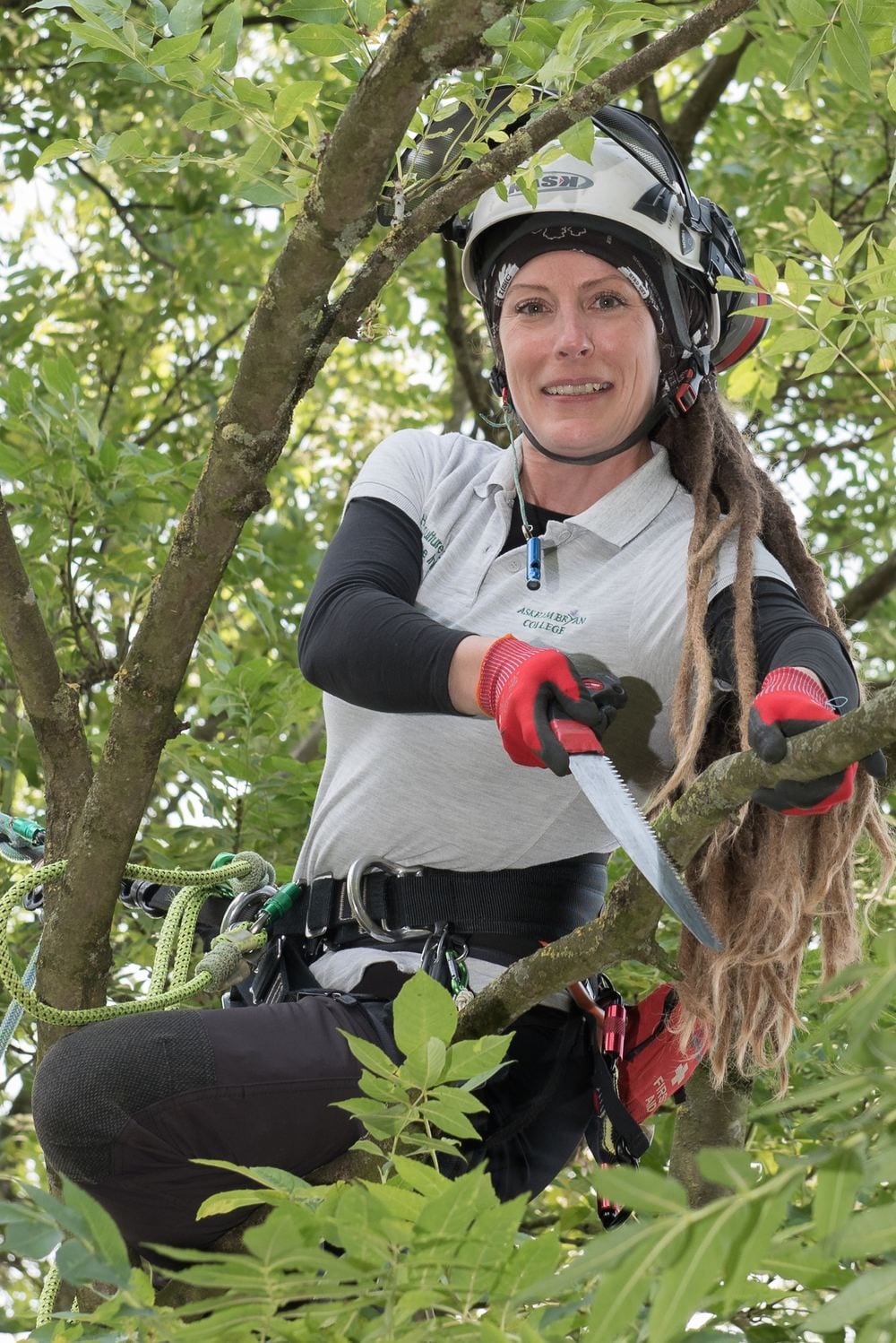 A tree surgeon at work high in the branches of a tree.