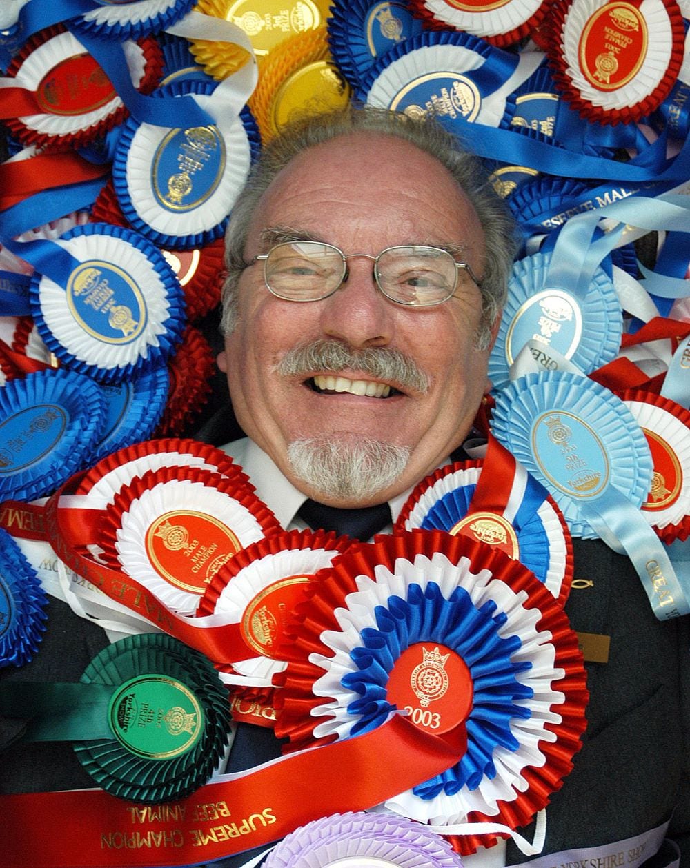 A rosette-maker's head peeks through a sea of prize rosettes.