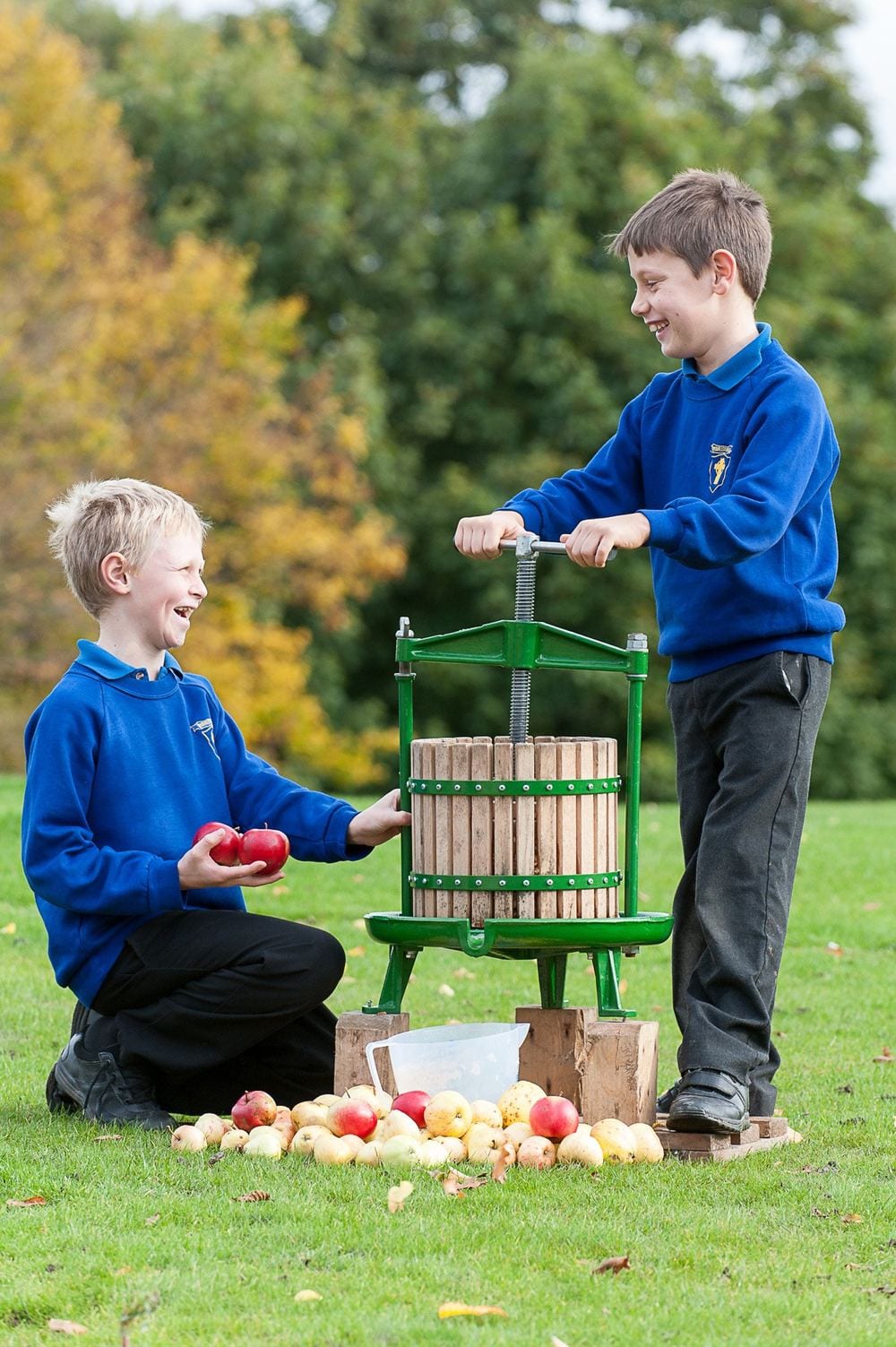 Children happily press apple juice with an apple press on National Apple Day.