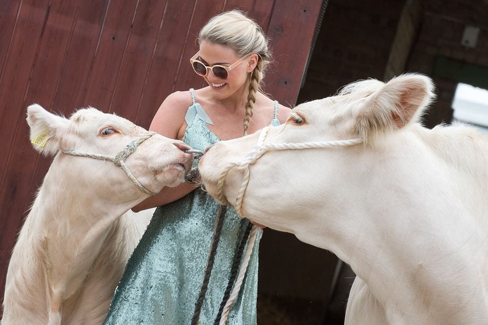 A model in a summer dress poses with a cow and calf.