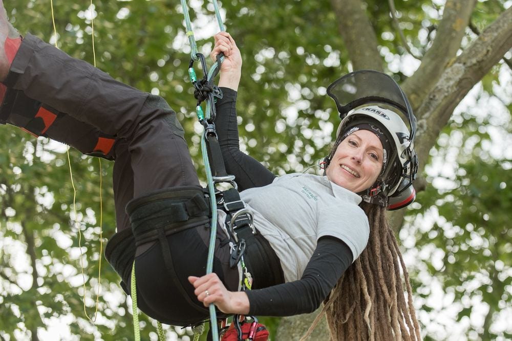 A tree surgeon climbing high into a tree.