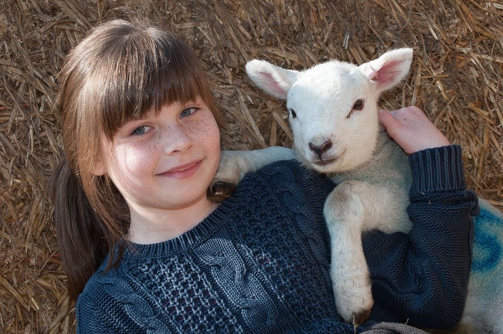 From lambs to loyal companions – pet portraits, whatever the animal.